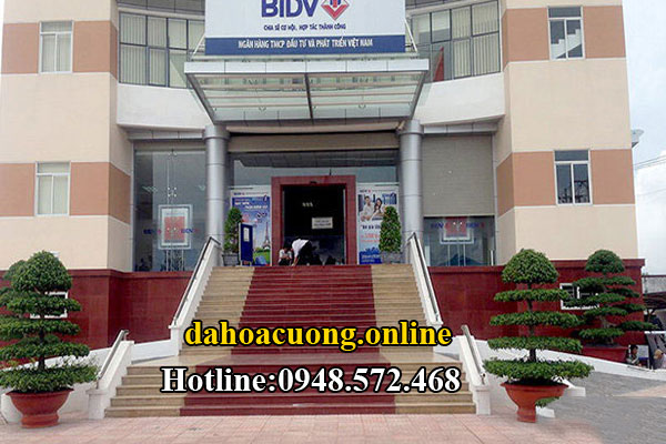 đá hoa cương đỏ mắt cáo 4